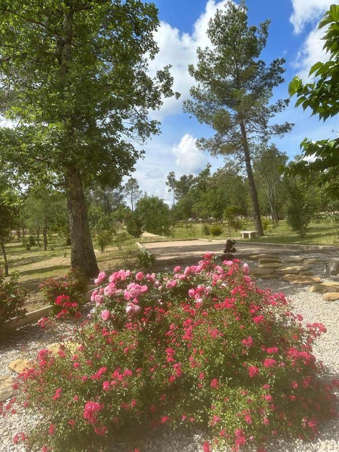 Superbe Villa Seillans La Grande Bastide Avec Piscine, Jardin, Climatisation Et Salle De Sport Екстериор снимка