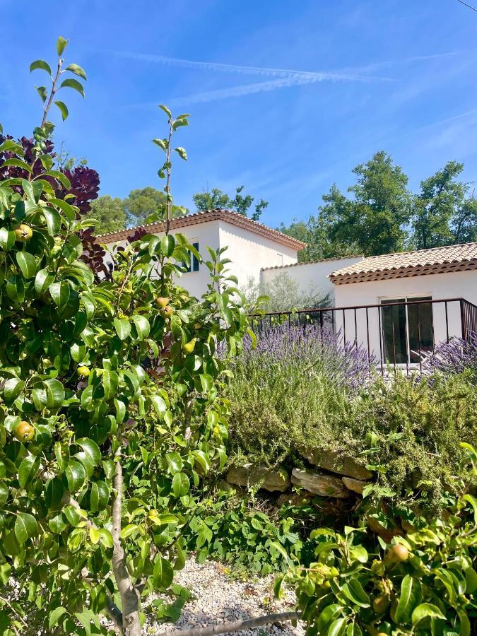 Superbe Villa Seillans La Grande Bastide Avec Piscine, Jardin, Climatisation Et Salle De Sport Екстериор снимка
