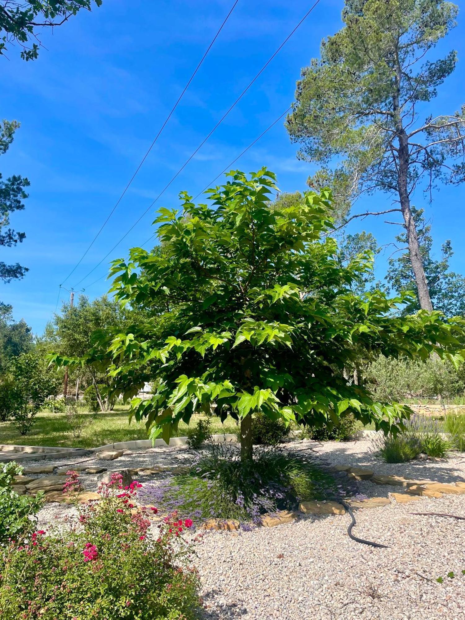 Superbe Villa Seillans La Grande Bastide Avec Piscine, Jardin, Climatisation Et Salle De Sport Екстериор снимка