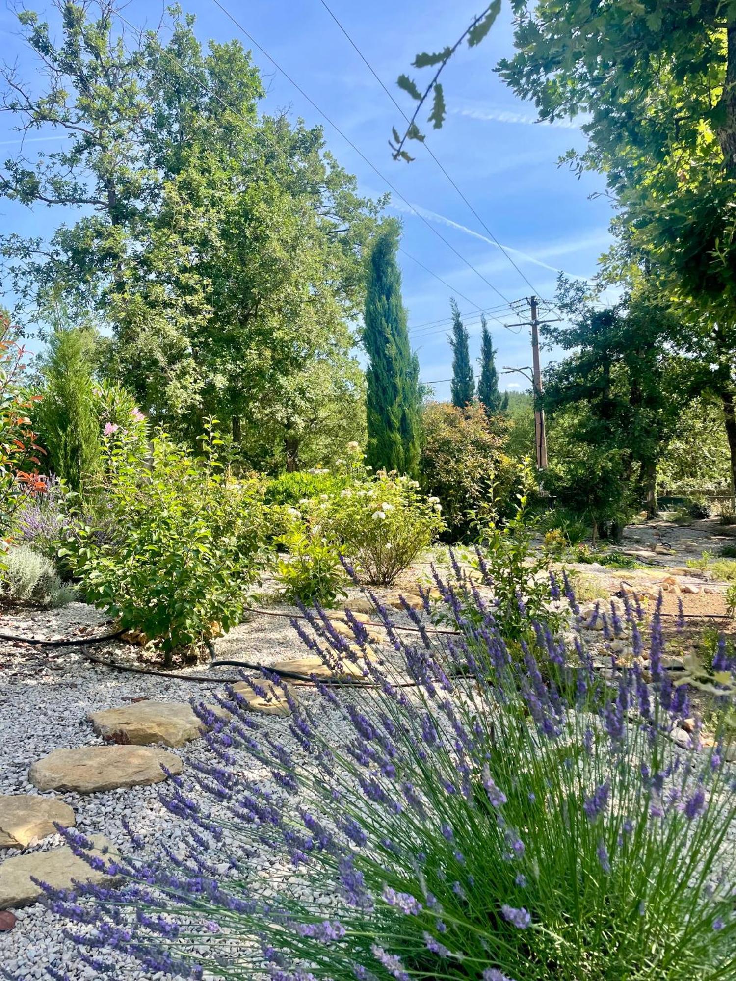 Superbe Villa Seillans La Grande Bastide Avec Piscine, Jardin, Climatisation Et Salle De Sport Екстериор снимка