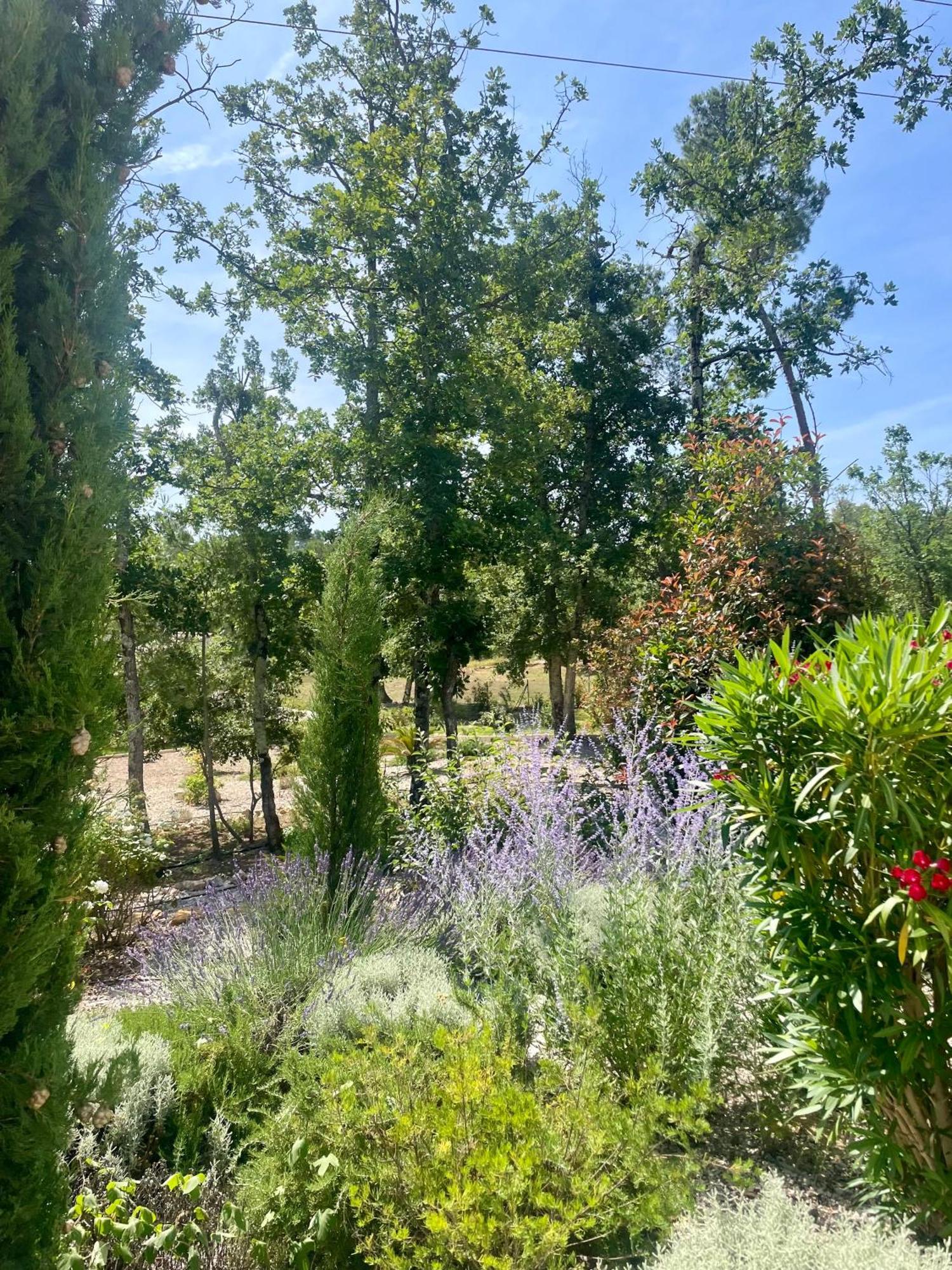 Superbe Villa Seillans La Grande Bastide Avec Piscine, Jardin, Climatisation Et Salle De Sport Екстериор снимка