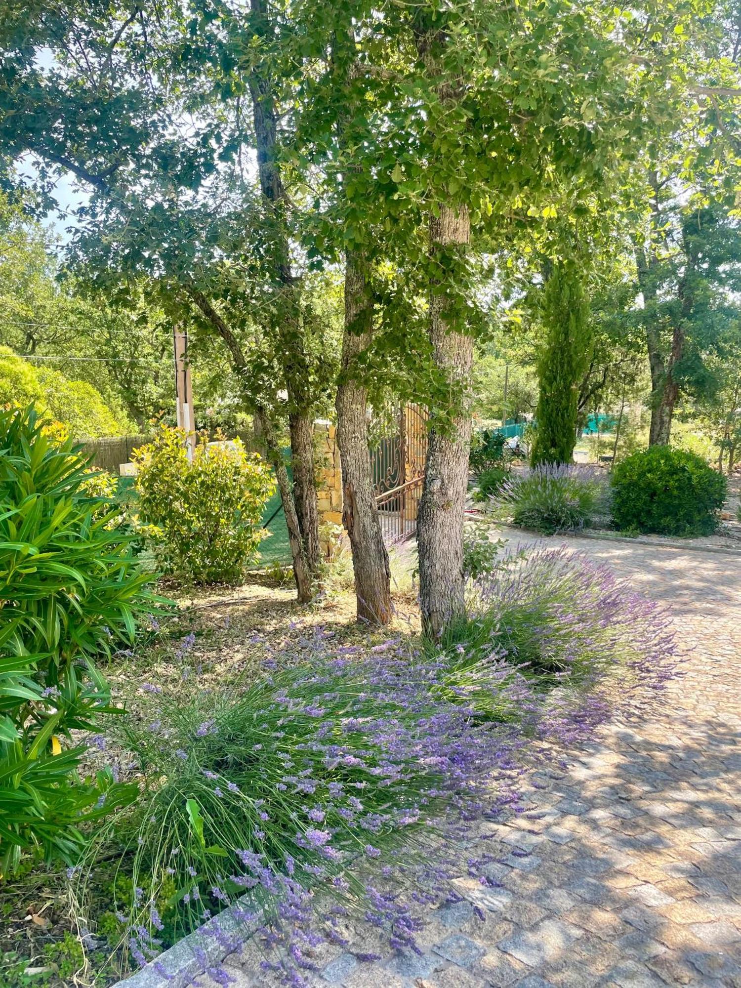 Superbe Villa Seillans La Grande Bastide Avec Piscine, Jardin, Climatisation Et Salle De Sport Екстериор снимка