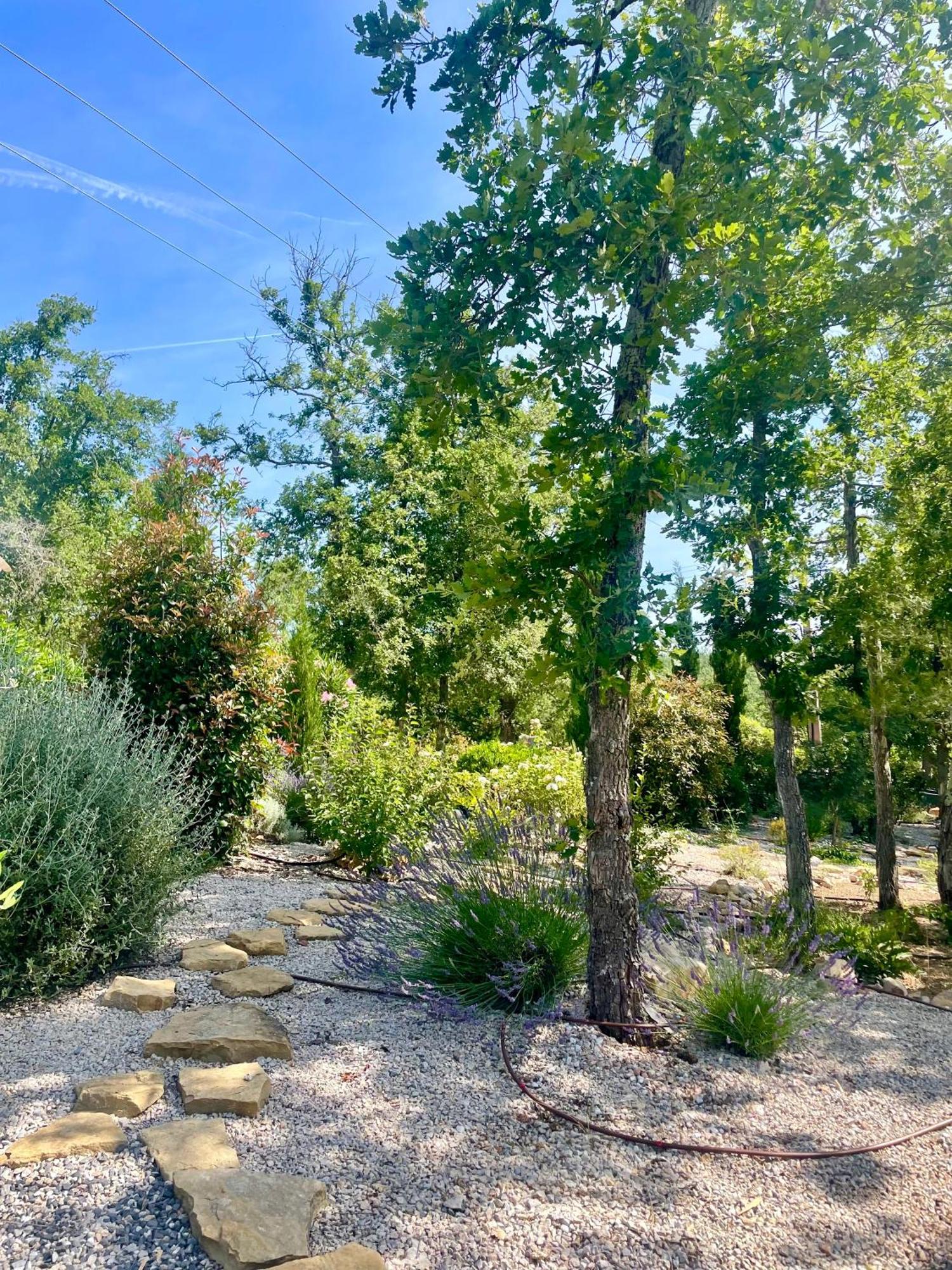 Superbe Villa Seillans La Grande Bastide Avec Piscine, Jardin, Climatisation Et Salle De Sport Екстериор снимка